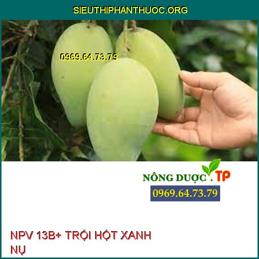 NPV 13B+ TRỘI HỘT XANH NỤ