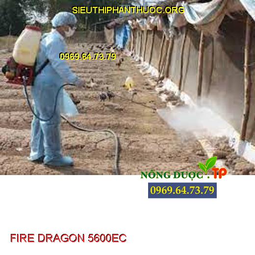 FIRE DRAGON 5600EC
