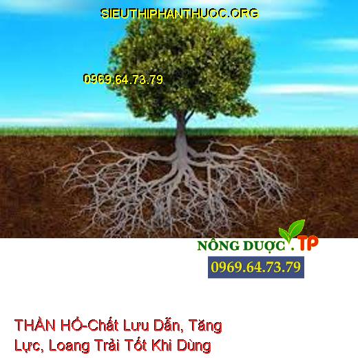 THẦN HỔ-Chất Lưu Dẫn, Tăng Lực, Loang Trải Tốt Khi Dùng Chung TBVTV