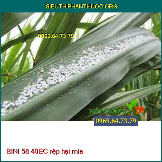 Sử dụng BINI 58-40EC để diệt trừ rệp