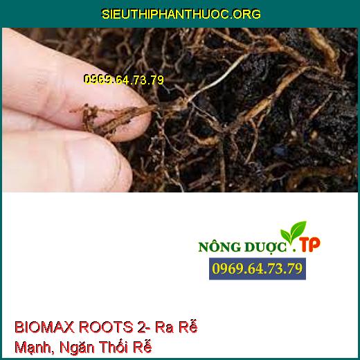 BIOMAX ROOTS 2- Ra Rễ Mạnh, Ngăn Thối Rễ