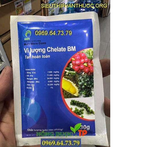 VI LƯỢNG CHELATE BM TAN HOÀN TOÀN- Hạn Chế Vàng , Cháy Lá