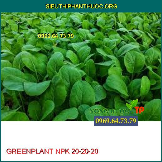 GREENPLANT NPK 20-20-20