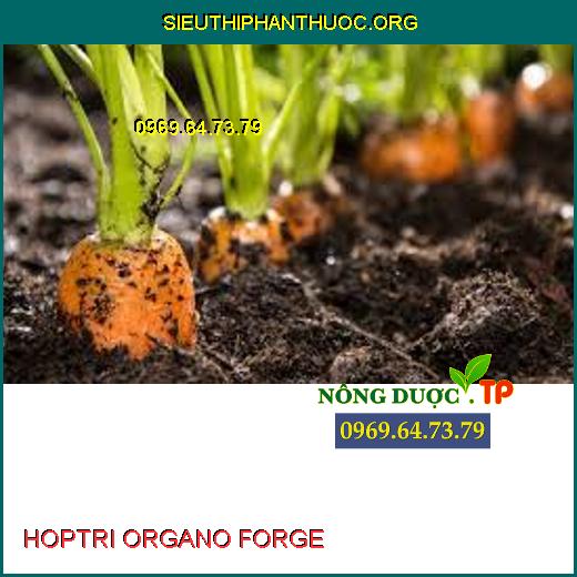 HOPTRI ORGANO FORGE