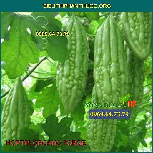 HOPTRI ORGANO FORGE