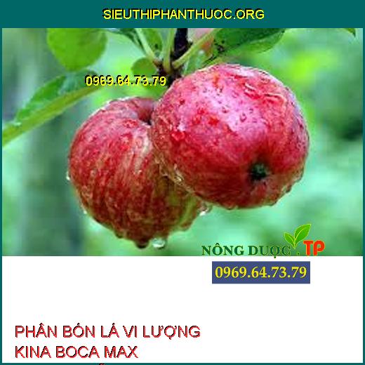 PHÂN BÓN LÁ VI LƯỢNG KINA BOCA MAX CABANO-SỮA