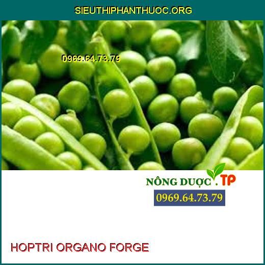 HOPTRI ORGANO FORGE