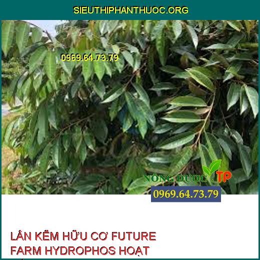 LÂN KẼM HỮU CƠ FUTURE FARM HYDROPHOS HOẠT HÓA 