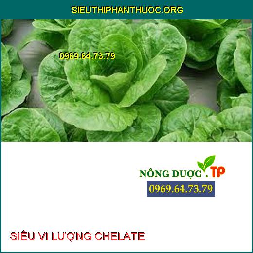 SIÊU VI LƯỢNG CHELATE