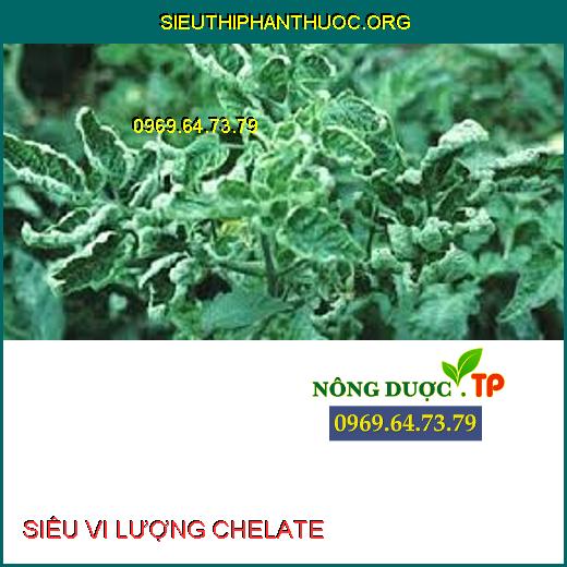 SIÊU VI LƯỢNG CHELATE