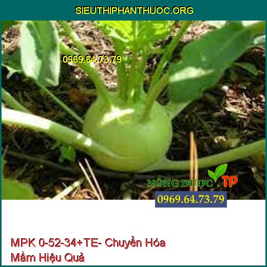 MPK 0-52-34+TE- Chuyển Hóa Mầm Hiệu Quả