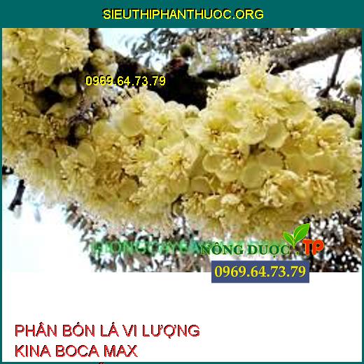 PHÂN BÓN LÁ VI LƯỢNG KINA BOCA MAX CABANO-SỮA