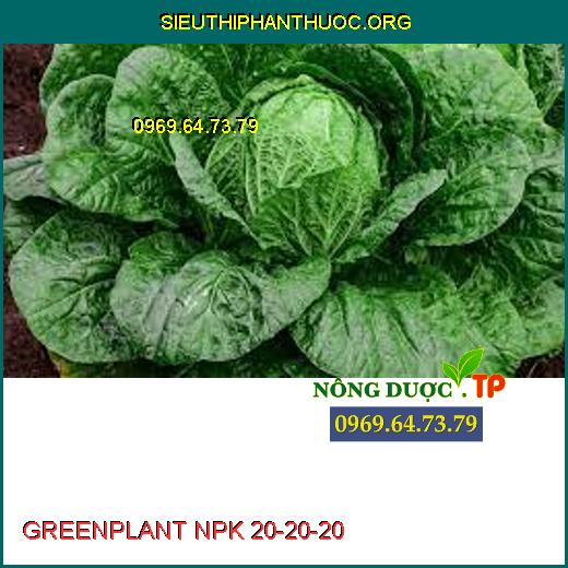 GREENPLANT NPK 20-20-20