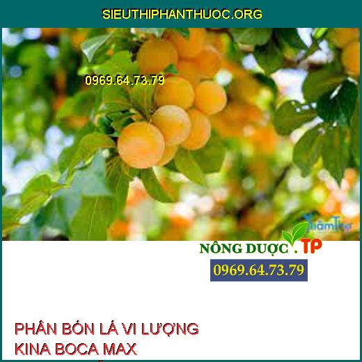 PHÂN BÓN LÁ VI LƯỢNG KINA BOCA MAX CABANO-SỮA