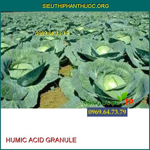 HUMIC ACID GRANULE