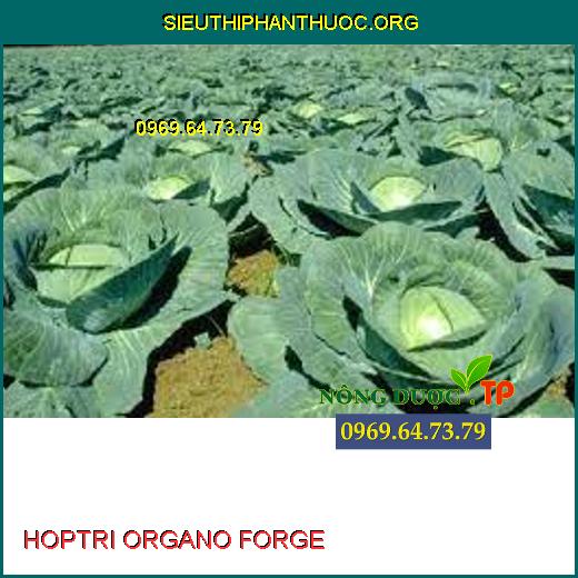 HOPTRI ORGANO FORGE