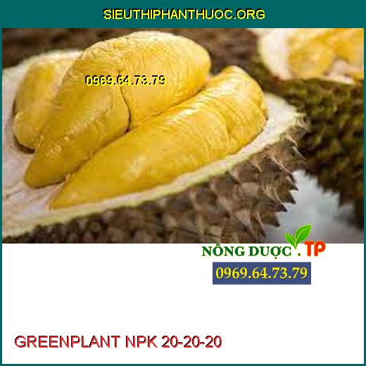 GREENPLANT NPK 20-20-20