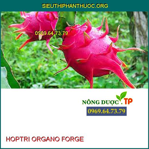 HOPTRI ORGANO FORGE