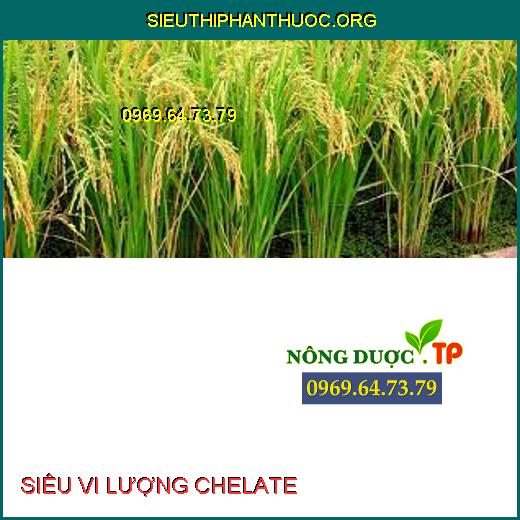 SIÊU VI LƯỢNG CHELATE