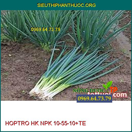 HOPTRO HK NPK 10-55-10+TE 