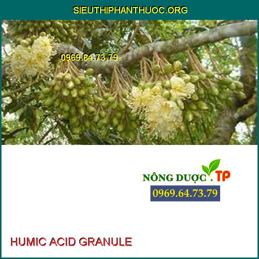 HUMIC ACID GRANULE