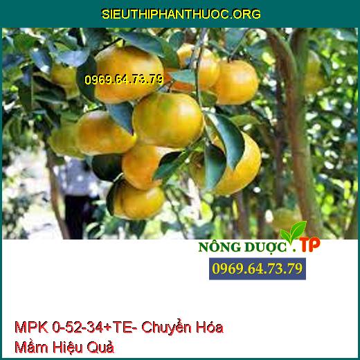 MPK 0-52-34+TE- Chuyển Hóa Mầm Hiệu Quả