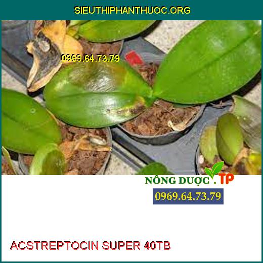 ACSTREPTOCIN SUPER 40TB 