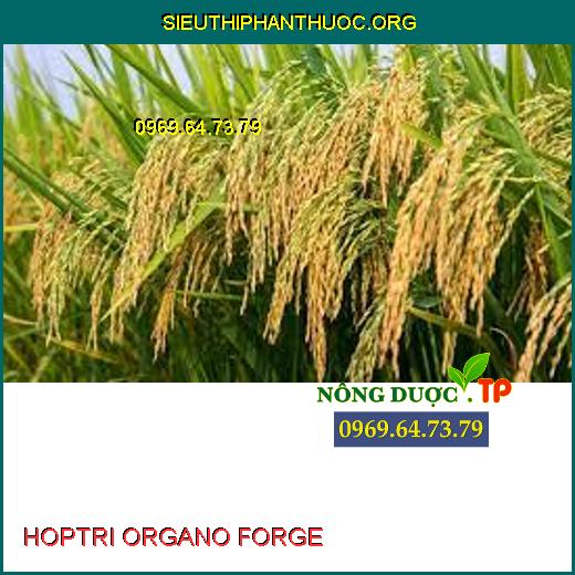 HOPTRI ORGANO FORGE