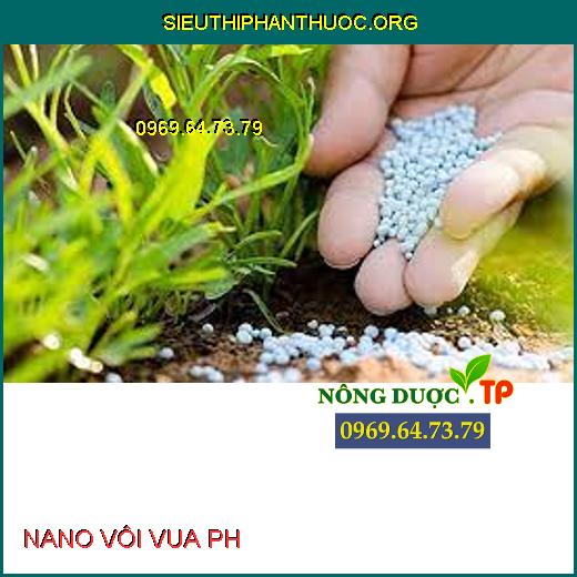 NANO VÔI VUA PH