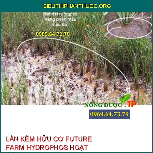 LÂN KẼM HỮU CƠ FUTURE FARM HYDROPHOS HOẠT HÓA 