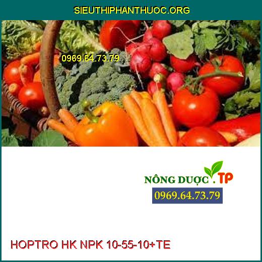 HOPTRO HK NPK 10-55-10+TE 