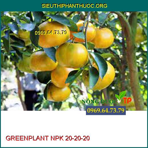 GREENPLANT NPK 20-20-20