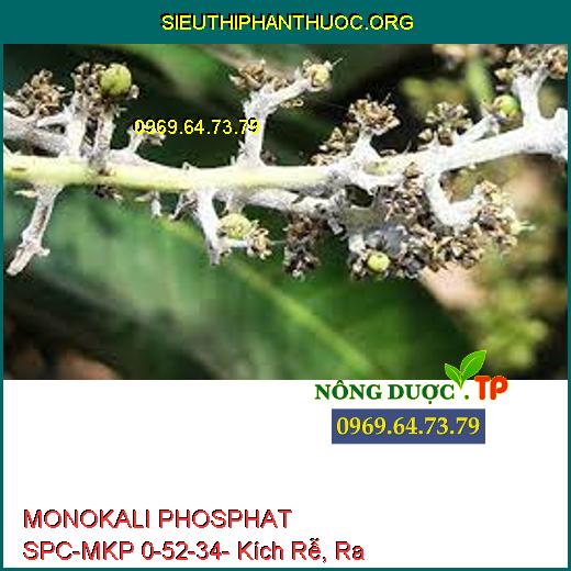 MONOKALI PHOSPHAT SPC-MKP 0-52-34- Kích Rễ, Ra Hoa Trái Vụ