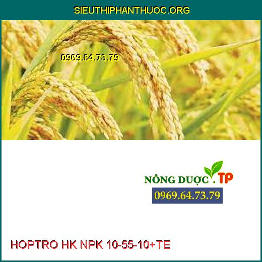 HOPTRO HK NPK 10-55-10+TE 