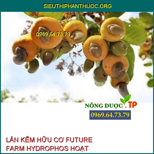 LÂN KẼM HỮU CƠ FUTURE FARM HYDROPHOS HOẠT HÓA 