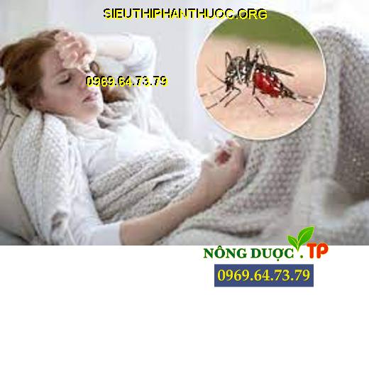 Muỗi gây bệnh sốt rét