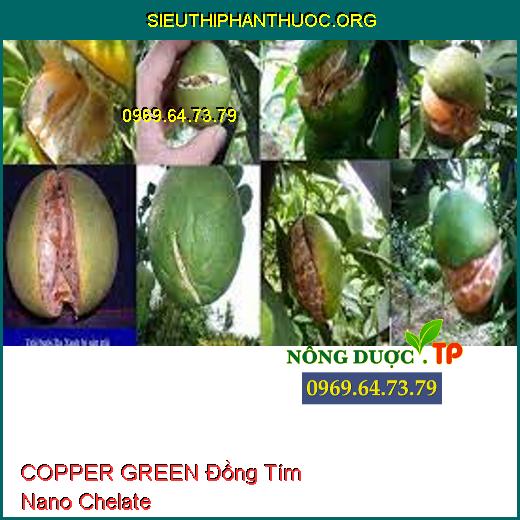 COPPER GREEN Đồng Tím Nano Chelate