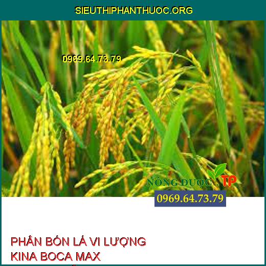 PHÂN BÓN LÁ VI LƯỢNG KINA BOCA MAX CABANO-SỮA