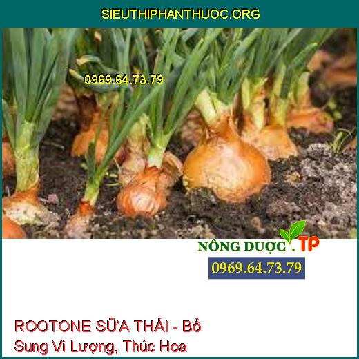 ROOTONE SỮA THÁI - Bổ Sung Vi Lượng, Thúc Hoa