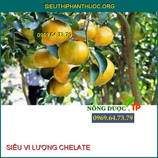 SIÊU VI LƯỢNG CHELATE