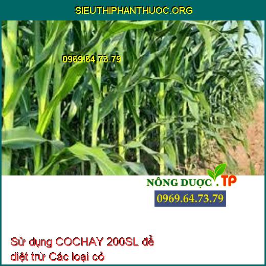 Sử dụng COCHAY 200SL để diệt trừ Các loại cỏ