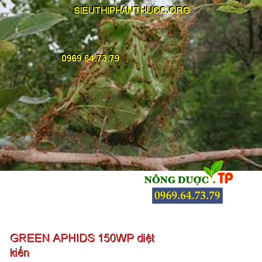 GREEN APHIDS 150WP
