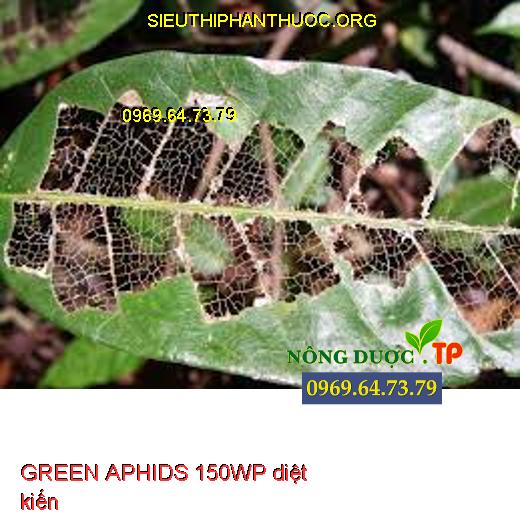 GREEN APHIDS 150WP