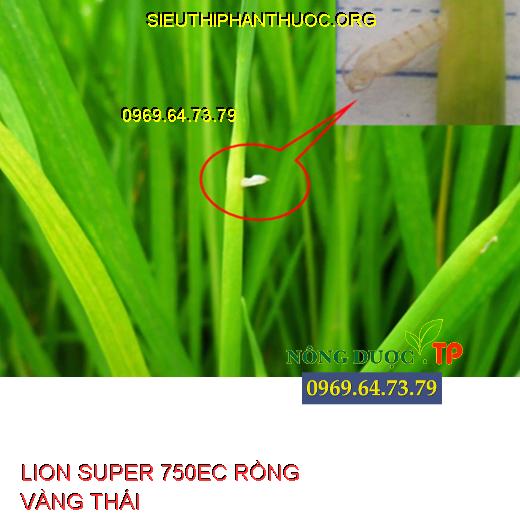 LION SUPER 750EC RỒNG VÀNG THÁI 