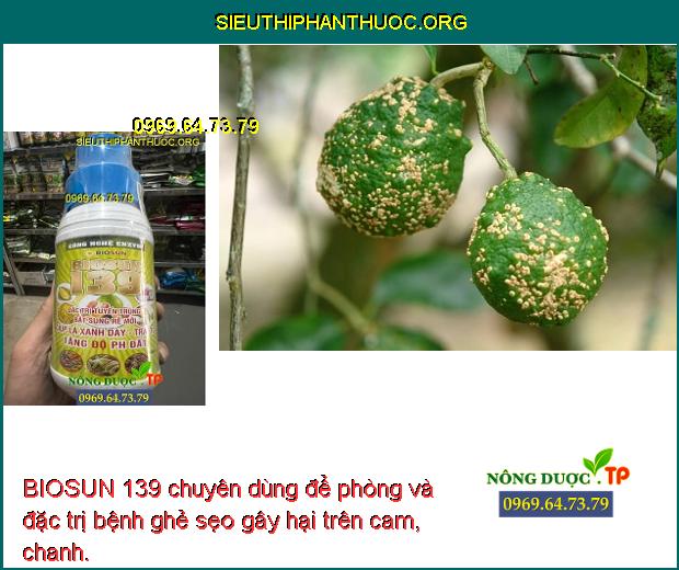 BIOSUN 139 - Đặc Trị Tuyến Trùng, Bật Sung Rễ, Xanh Lá Trái To, Tăng Độ ...