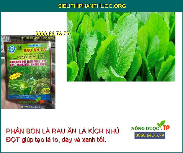 PHÂN BÓN LÁ RAU ĂN LÁ KÍCH NHÚ ĐỌT - Phát Rễ, Nhú Đọt, Dày Lá, Xanh Lá ...