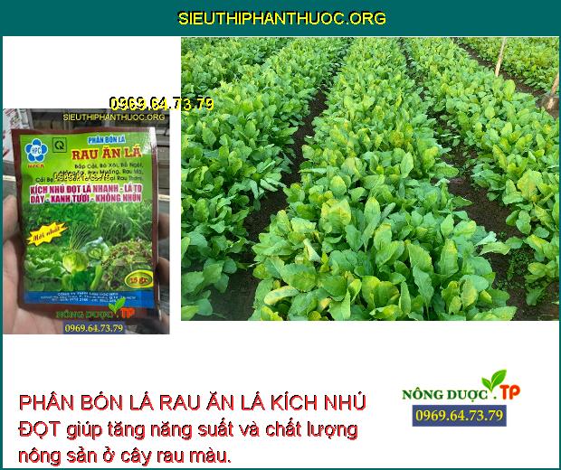 PHÂN BÓN LÁ RAU ĂN LÁ KÍCH NHÚ ĐỌT - Phát Rễ, Nhú Đọt, Dày Lá, Xanh Lá ...