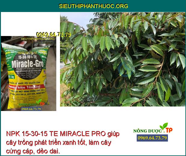 NPK 15-30-15 TE MIRACLE PRO giúp cây trồng phát triển xanh tốt, làm cây cứng cáp, dẻo dai.