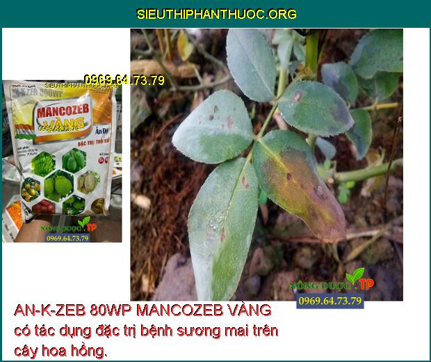 AN-K-ZEB 80WP MANCOZEB VÀNG có tác dụng đặc trị bệnh sương mai trên cây hoa hồng.