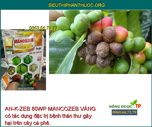 AN-K-ZEB 80WP MANCOZEB VÀNG có tác dụng đặc trị bệnh thán thư gây hại trên cây cà phê.